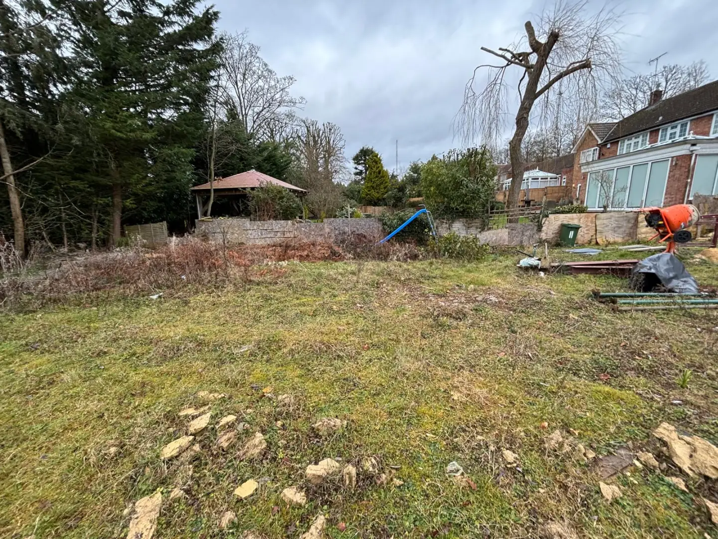 The established rear garden before transformation, with dense vegetation and an old boundary
