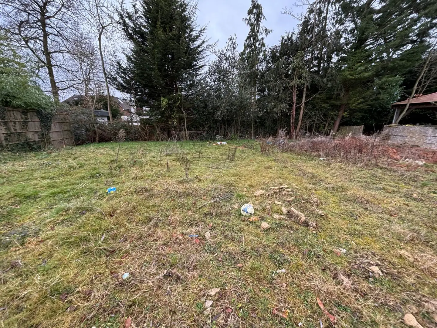 Rear garden ahead of clearance, showing overgrown planting and uneven ground levels