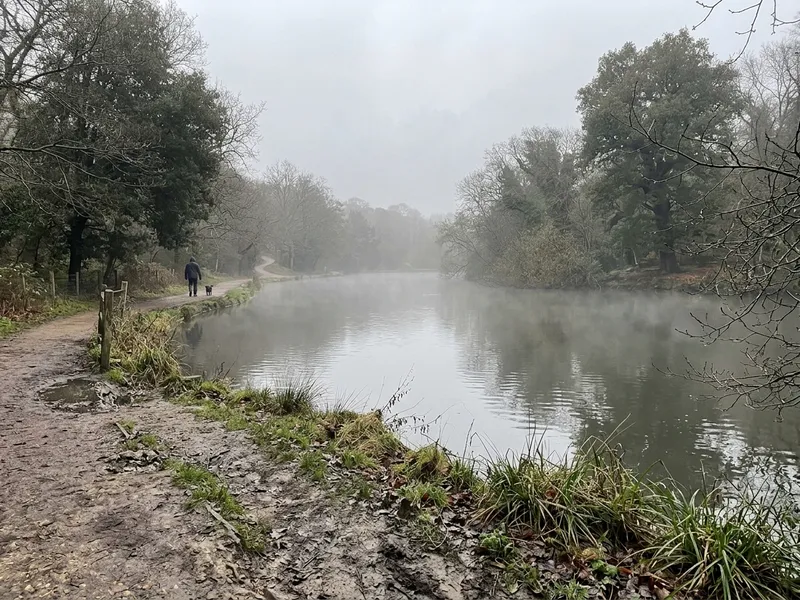 Hampstead Heath ponds on a misty morning in Hampstead NW3
